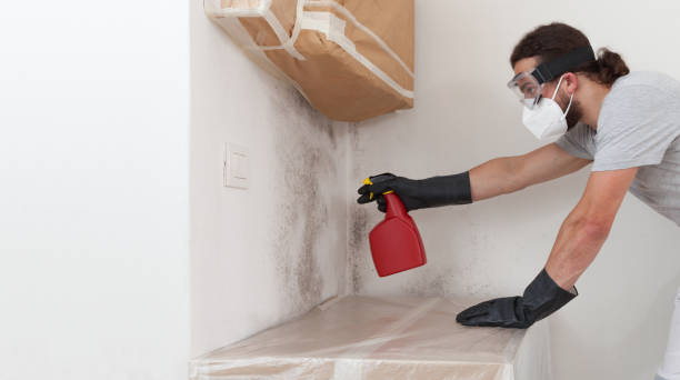 Professional Mold Remediation technician working in Locust Hill, VA