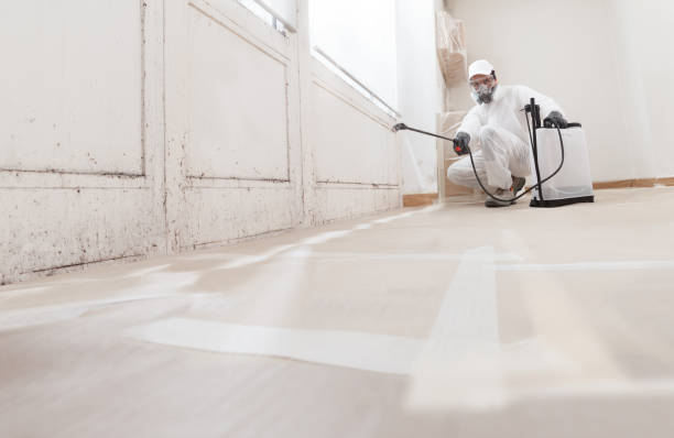 24/7 Emergency Mold Remediation experts in Locust Hill, VA