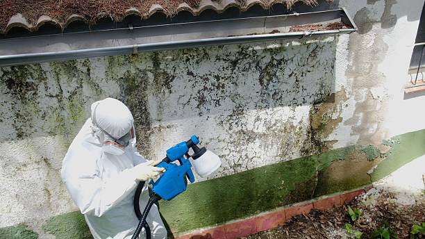 Top rated local Mold Remediation specialists in Locust Hill, VA